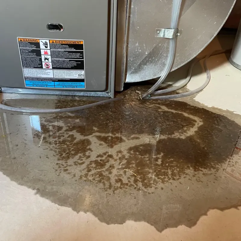 Appliance Leak Cleanup in Roosevelt County, NM